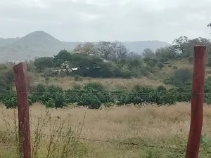 10 Acres For Sale Kibwezi -makueni Country