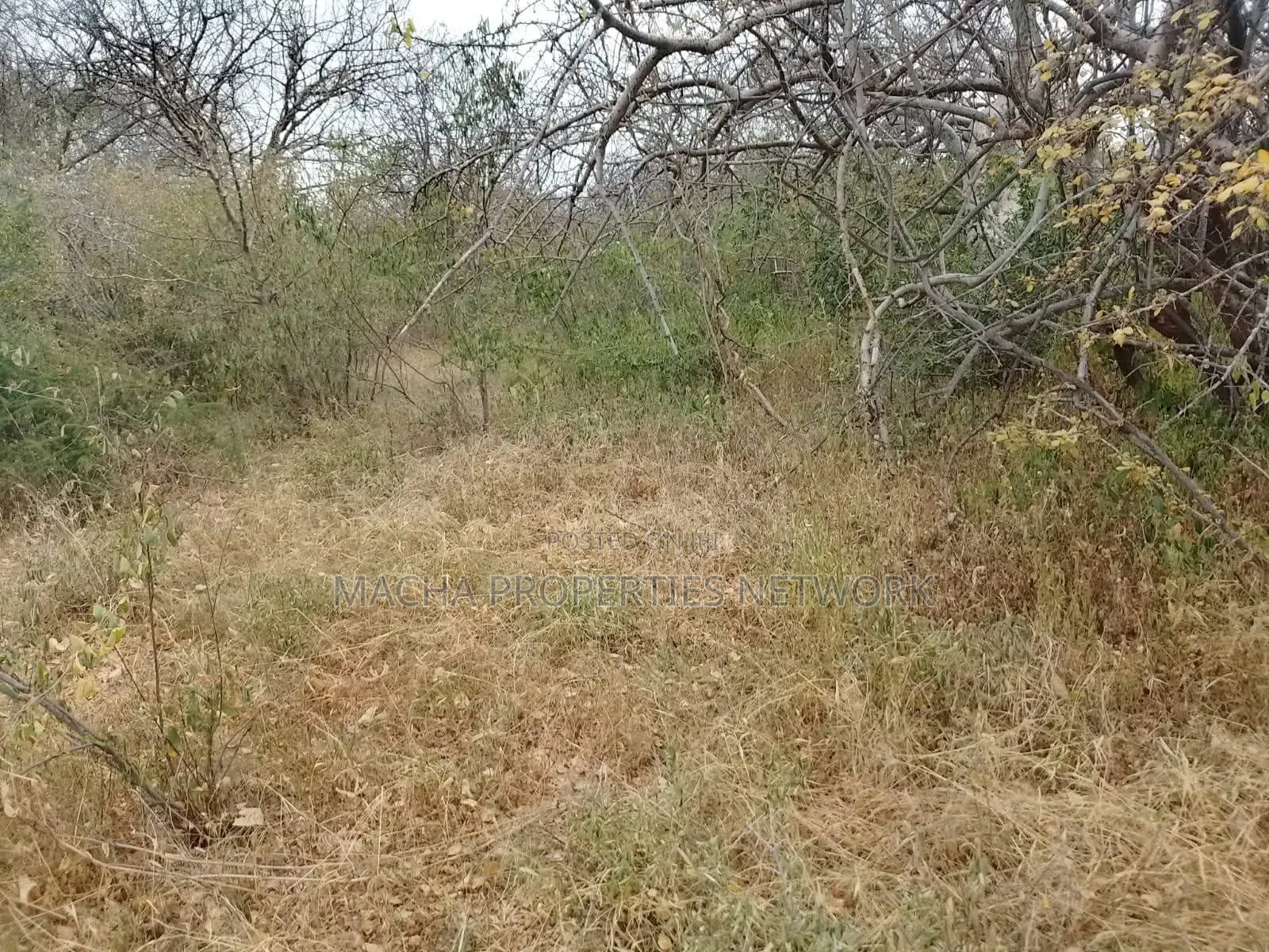 10 Acres For Sale Kibwezi -makueni Country
