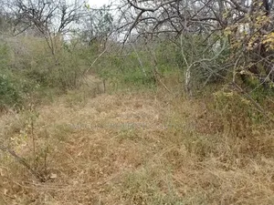 10 Acres For Sale Kibwezi -makueni Country