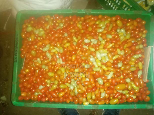 Cherry Tomatoes - main view