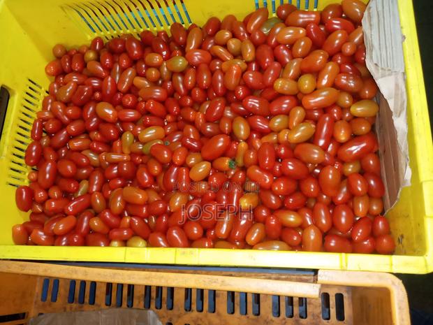 Cherry Tomatoes - thumbnail 3