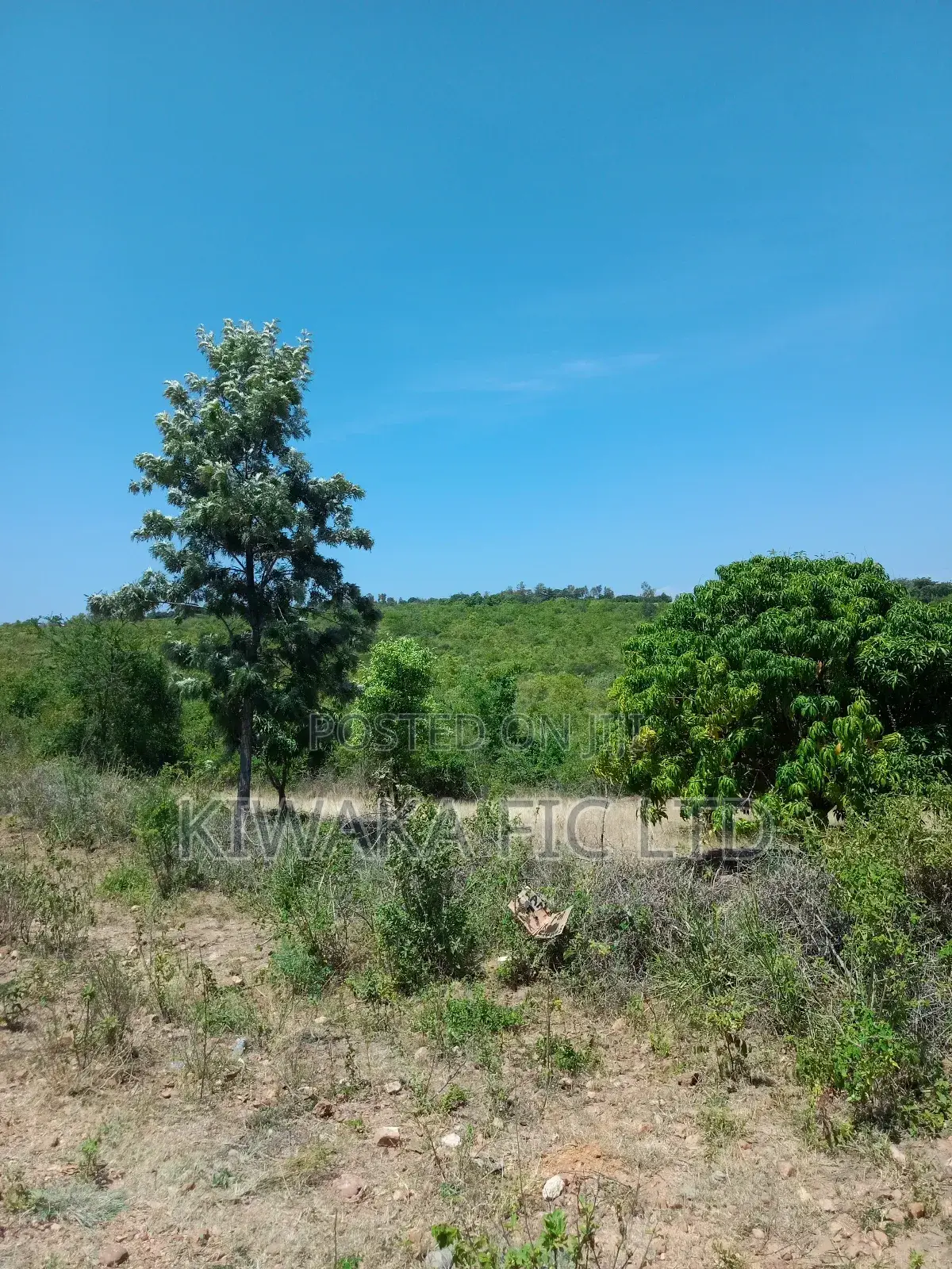 2 Acres Fronting Kenol- Sagana Road at Kambiti