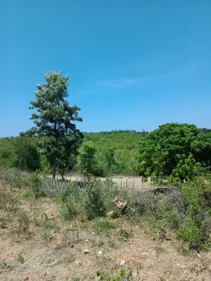 2 Acres Fronting Kenol- Sagana Road at Kambiti