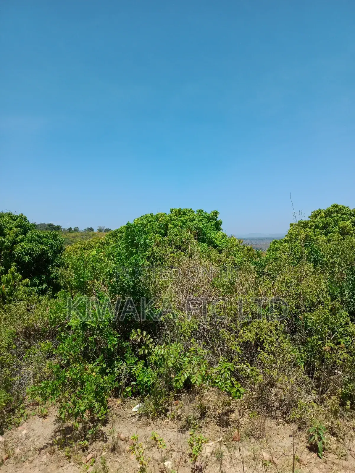 Five Acres Fronting Tarmack in Kambiti
