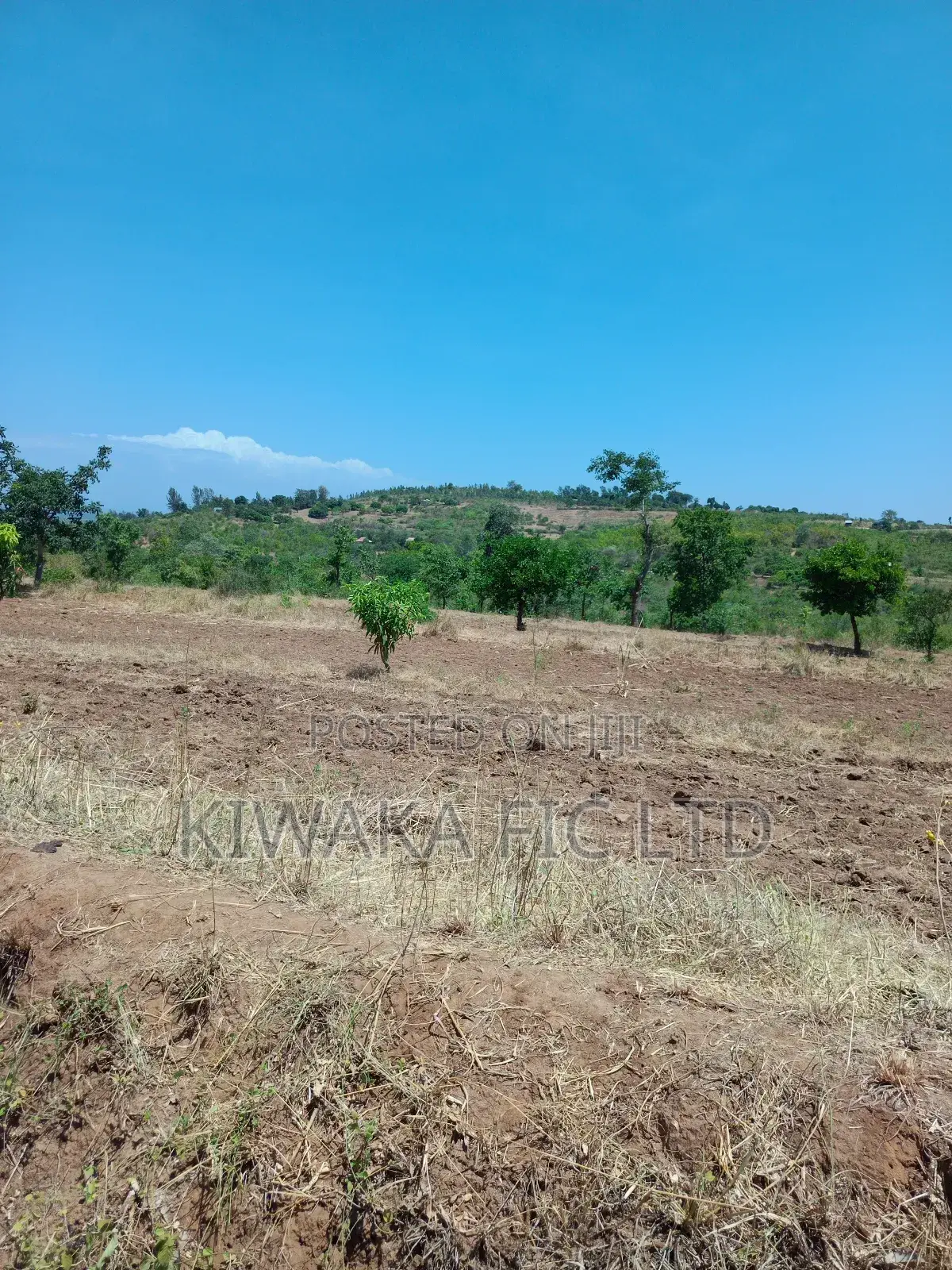Five Acres Fronting Tarmack in Kambiti