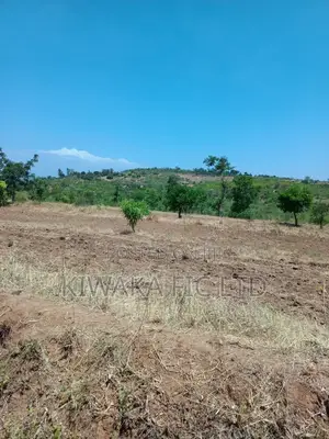 Five Acres Fronting Tarmack in Kambiti
