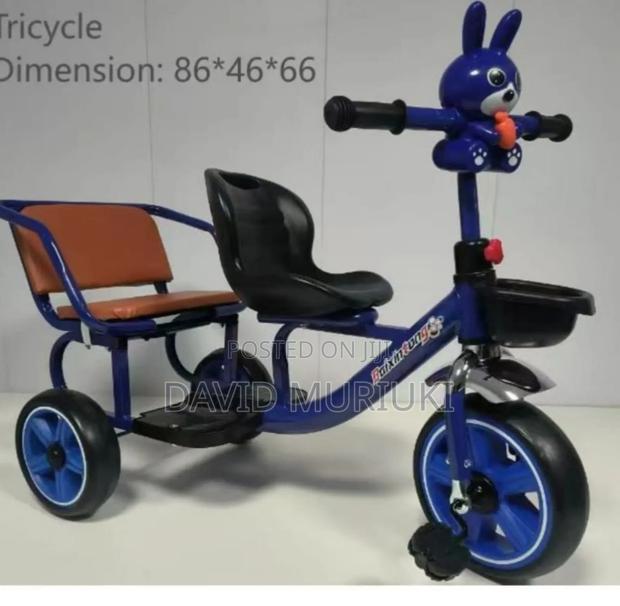 Trycycle Model 1069 - main view