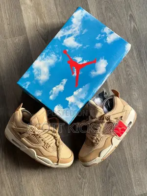 Air Jordan 4 Retro “Cozy Girl “ 