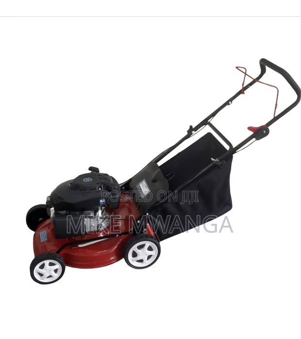 Windsor Gasoline Lawnmower - main view