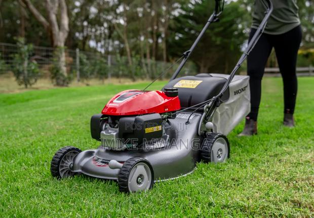 Windsor Gasoline Lawnmower - main view