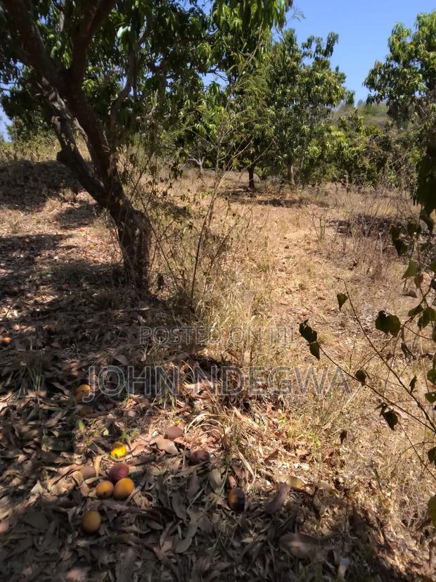 Kambiti Land for Sale - thumbnail 10