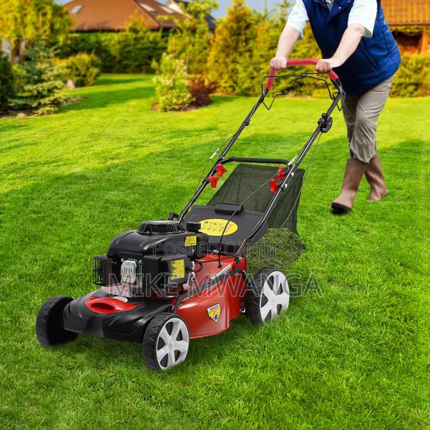 Windsor Gasoline Lawnmower - main view