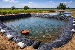 Dam Liners for Irrigation, Fish Ponds, and Livestock Water Storage