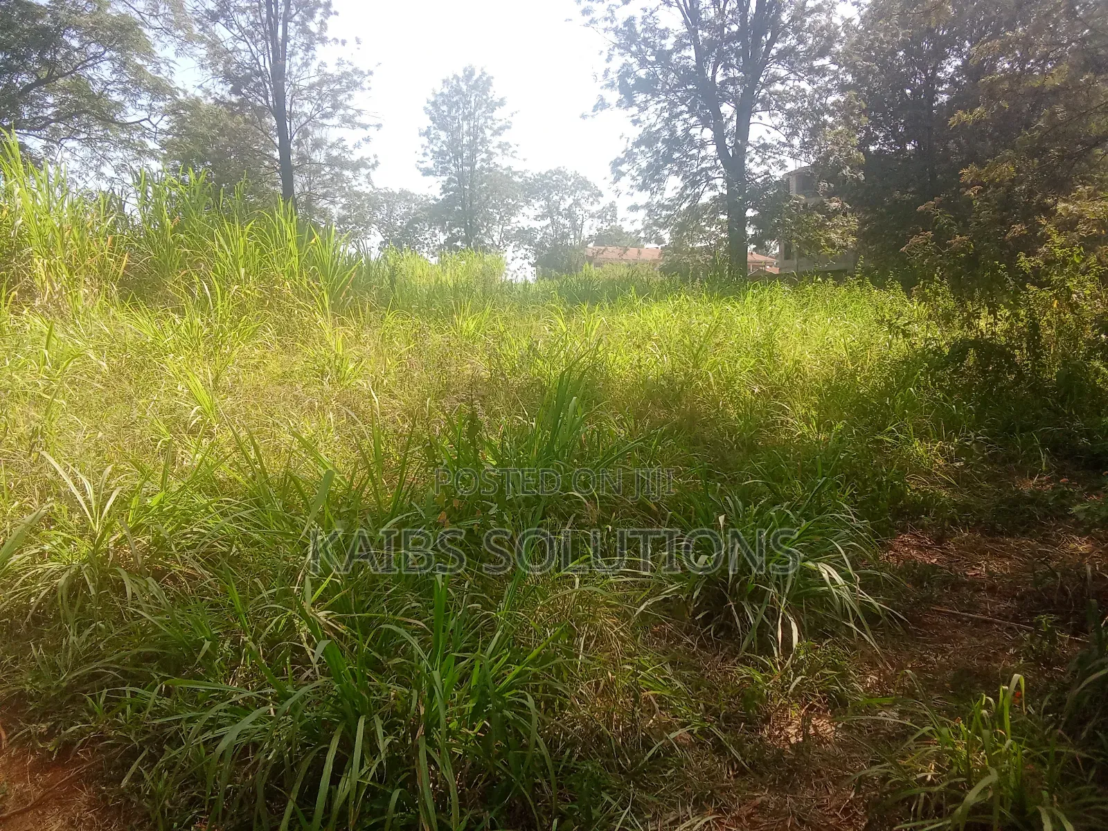 Plot for Sale 1/2 an Acre at Ruaka 45m Kigwaru Drive