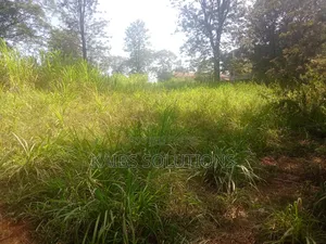 Plot for Sale 1/2 an Acre at Ruaka 45m Kigwaru Drive
