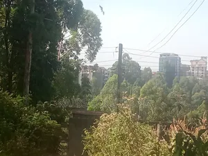 Plot for Sale 1/2 an Acre at Ruaka 45m Kigwaru Drive