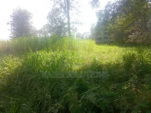 Plot for Sale 1/2 an Acre at Ruaka 45m Kigwaru Drive