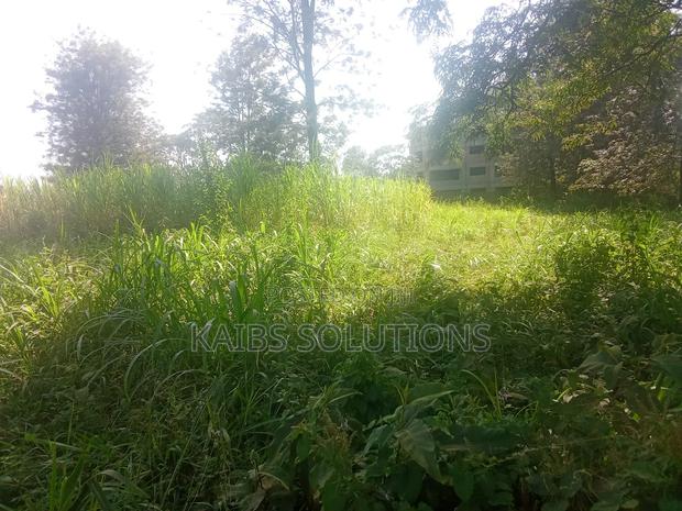 Plot for Sale 1/2 an Acre at Ruaka 45m Kigwaru Drive - thumbnail 4