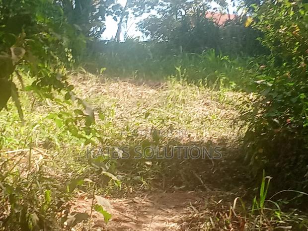 Plot for Sale 1/2 an Acre at Ruaka 45m Kigwaru Drive - thumbnail 6