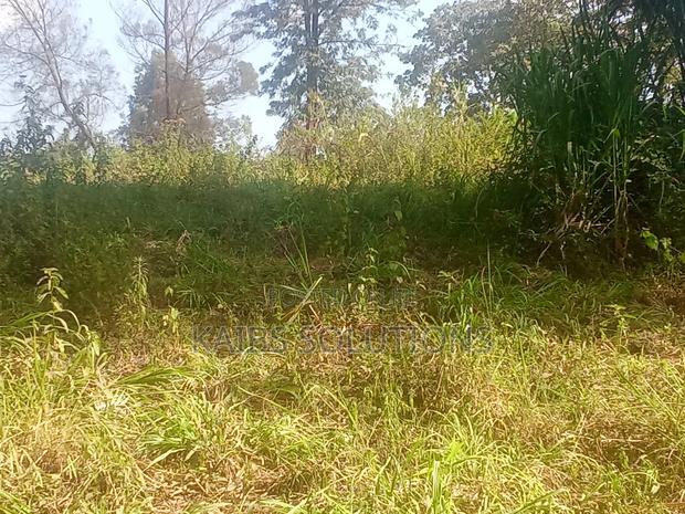 Plot for Sale 1/2 an Acre at Ruaka 45m Kigwaru Drive - thumbnail 7