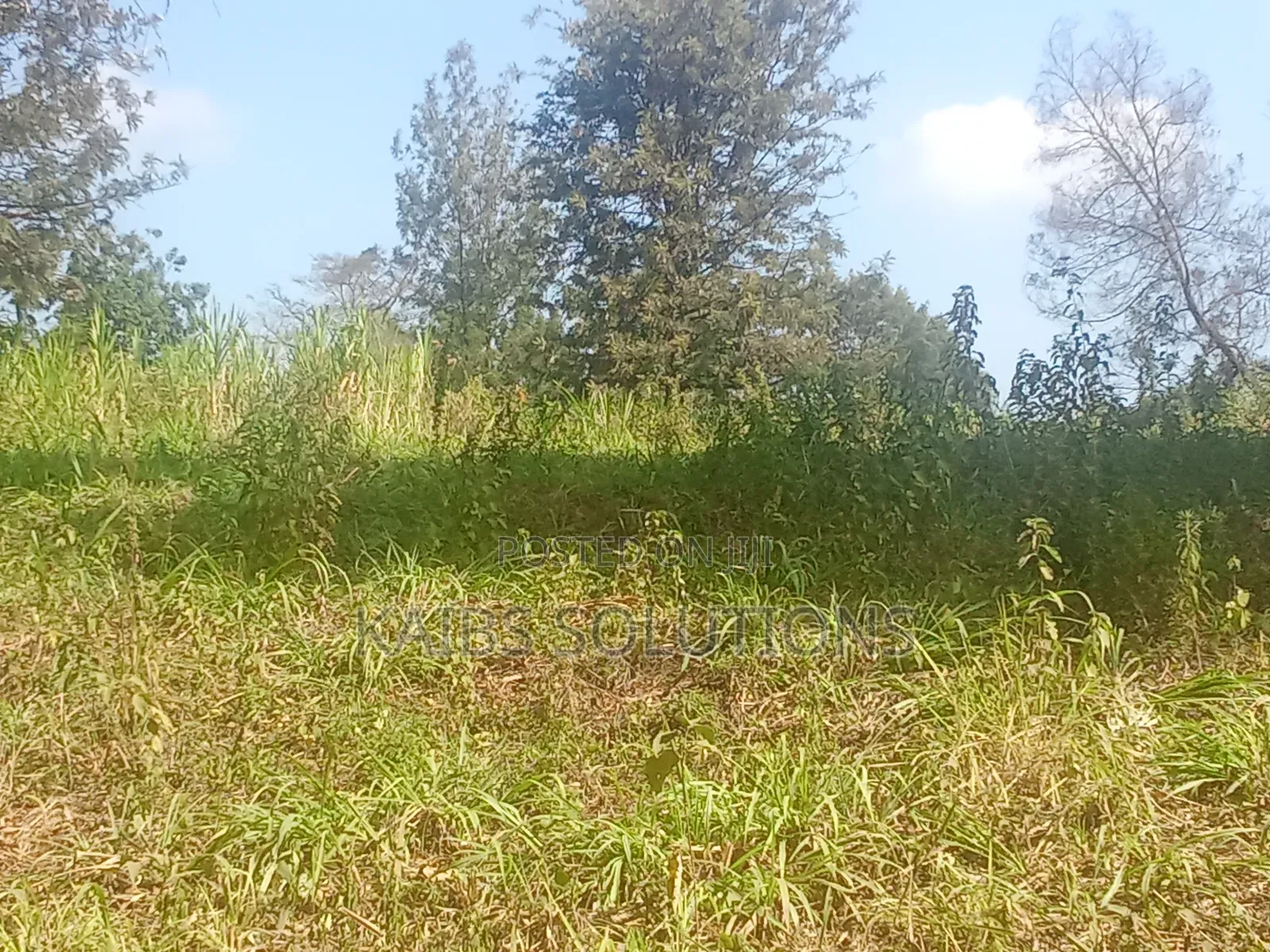 Plot for Sale 1/2 an Acre at Ruaka 45m Kigwaru Drive