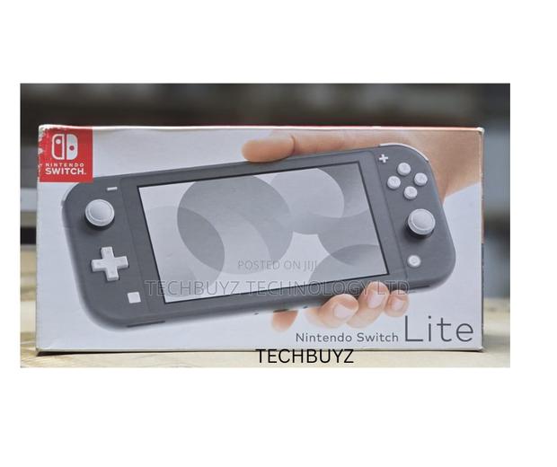 Nintendo Switch Lite - main view