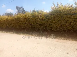 3/4 Acres at Ruaka Kigwaru Drive 45m