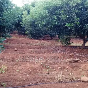 7.5 Acres Land for Sale in Mwea