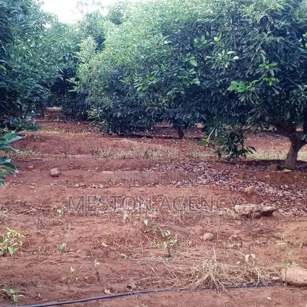 7.5 Acres Land for Sale in Mwea