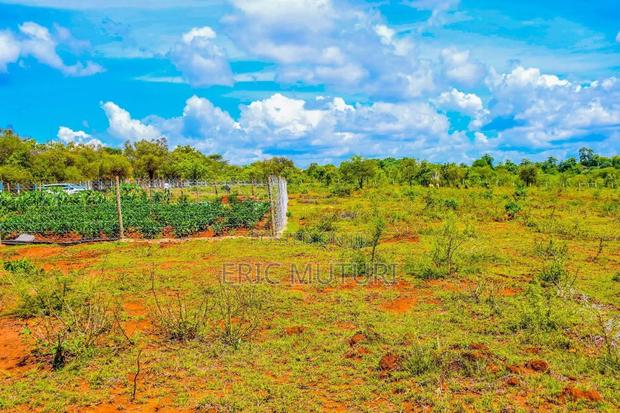 Zawadi Gardens - thumbnail 3