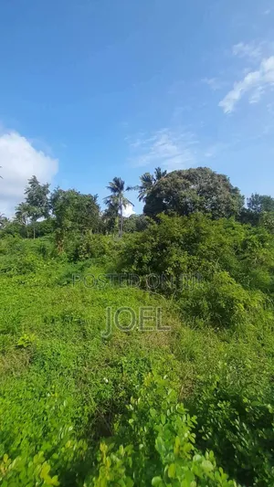Malindi Farm 7 Acres Land