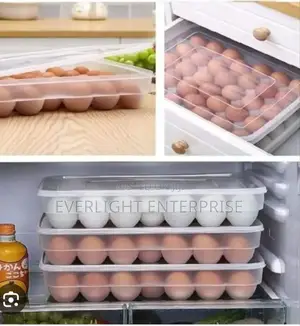 34pc Egg Tray Storage Container With Lid