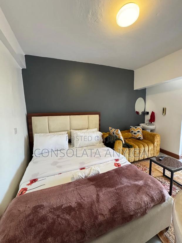 Elegant Fully Furnished Studio in Eldoret Town - thumbnail 3