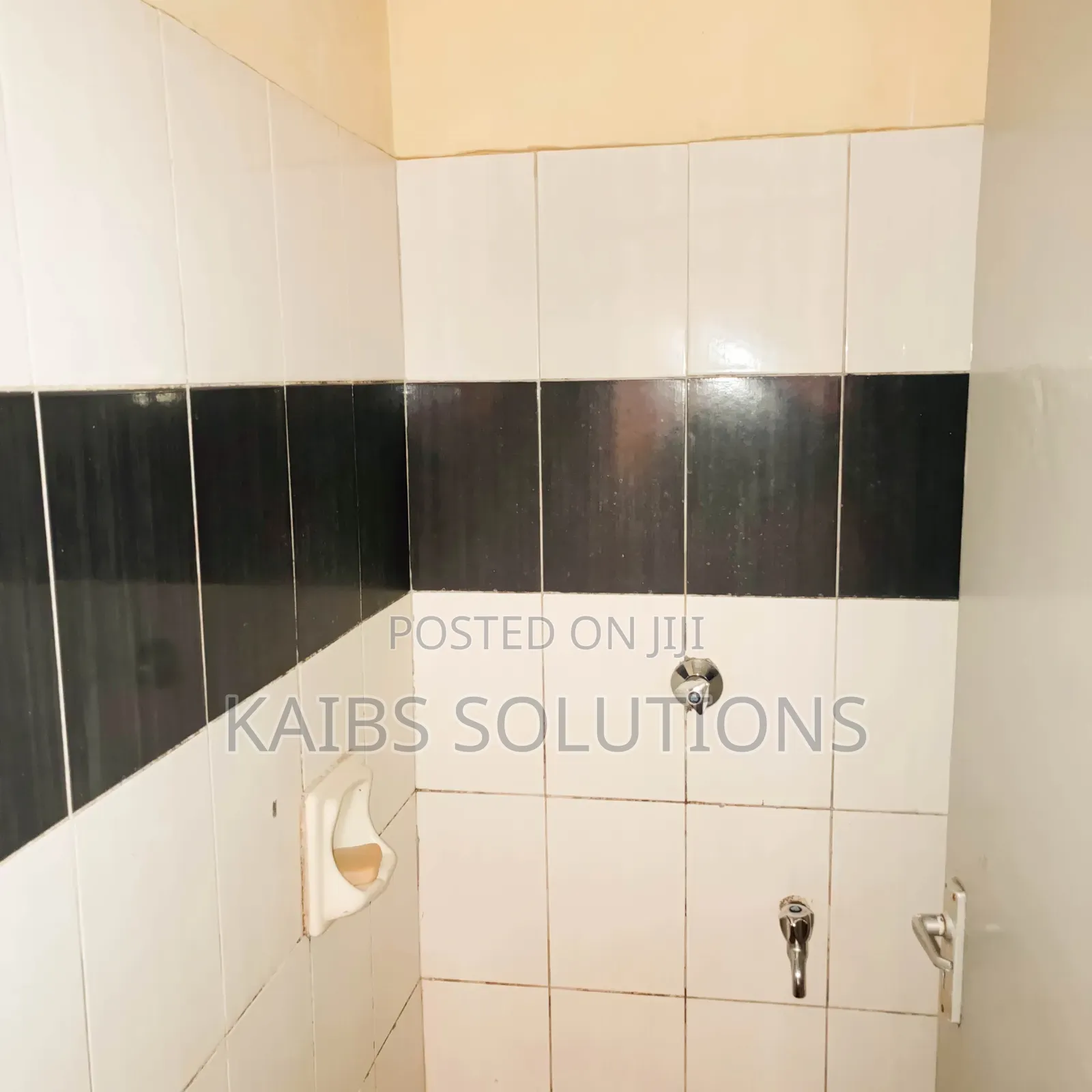 2bdrm Apartment in Ruaka for rent
