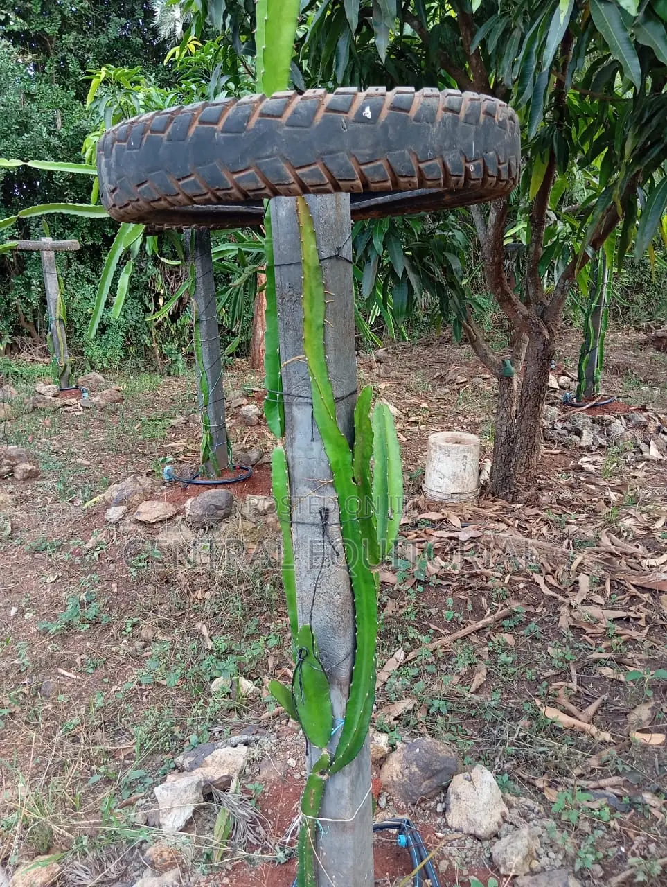 Durable Plastic Posts for Fencing Crop Support