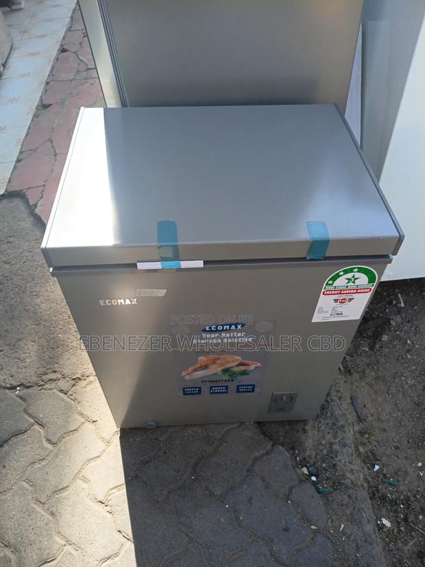 Ecomax 60 Litres Freezer