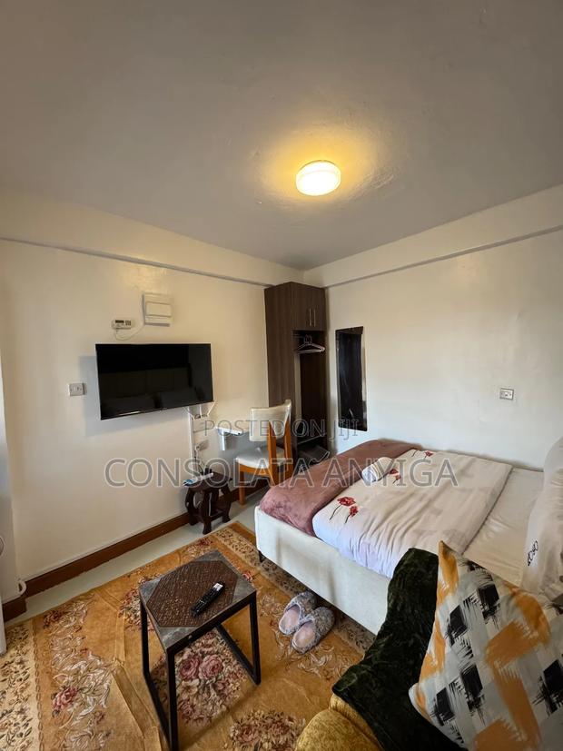 Elegant Fully Furnished Studio in Eldoret Town - thumbnail 5