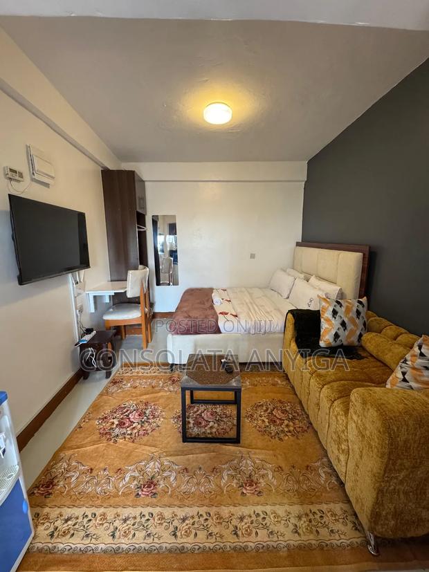 Elegant Fully Furnished Studio in Eldoret Town - thumbnail 7