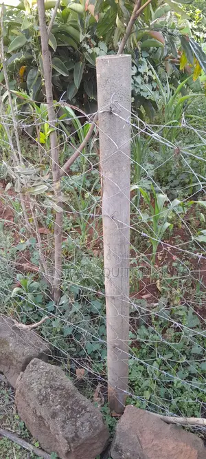 Plastic Fencing Posts for Land, Plots Gardens