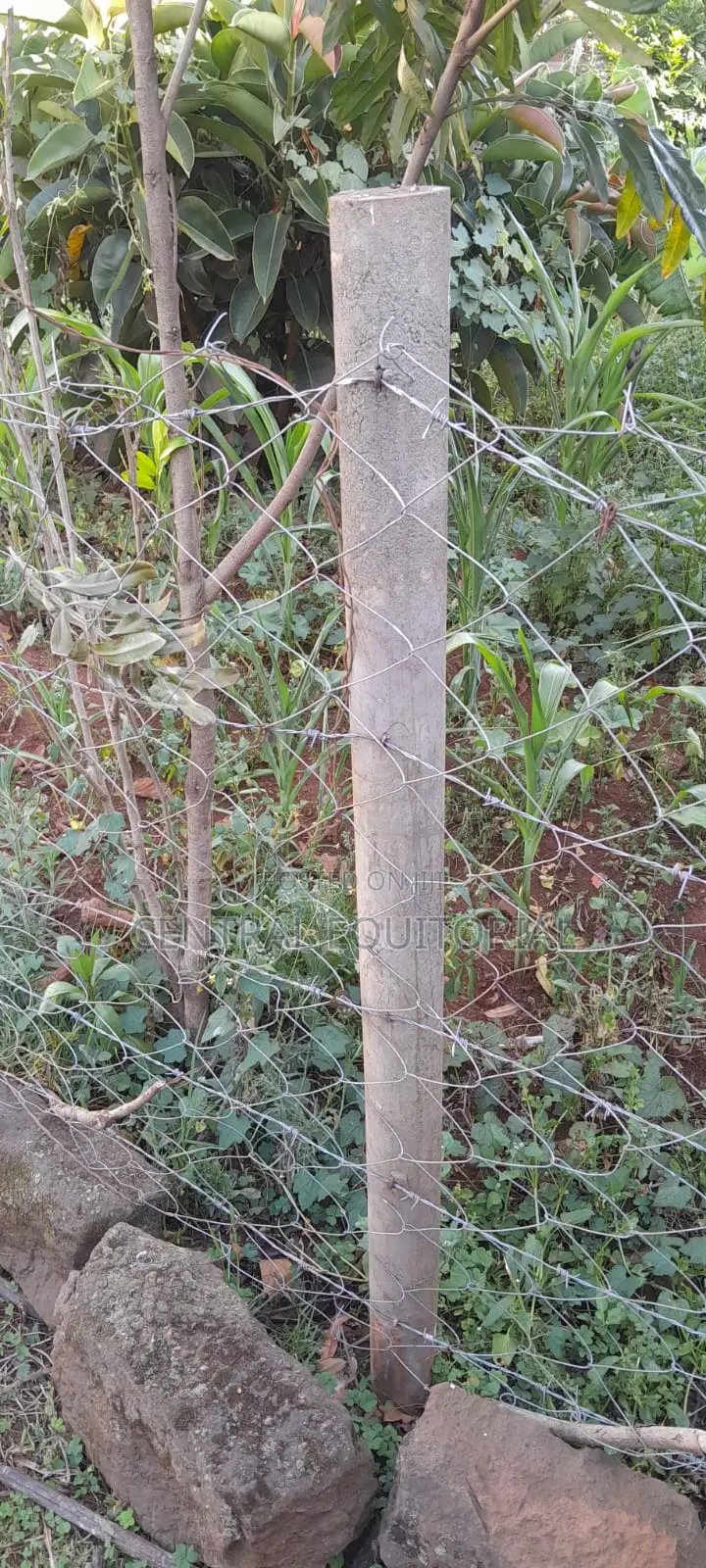 Plastic Fencing Posts for Land, Plots Gardens