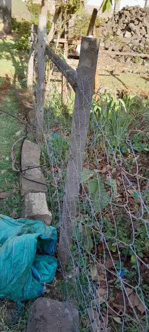 Plastic Fencing Posts for Land, Plots Gardens