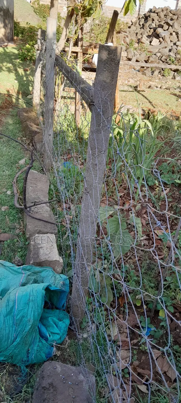 Plastic Fencing Posts for Land, Plots Gardens
