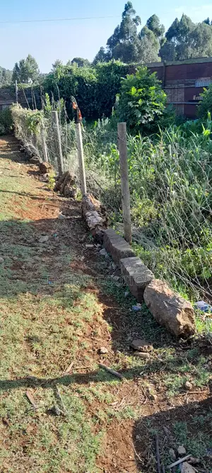 Plastic Fencing Posts for Land, Plots Gardens