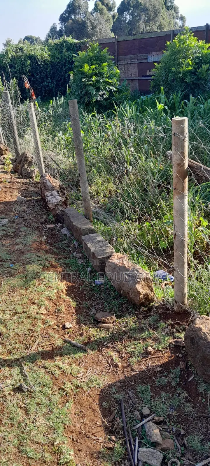 Plastic Fencing Posts for Land, Plots Gardens