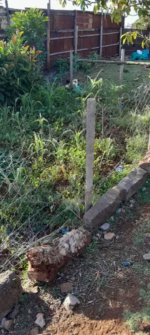 Plastic Fencing Posts for Land, Plots Gardens