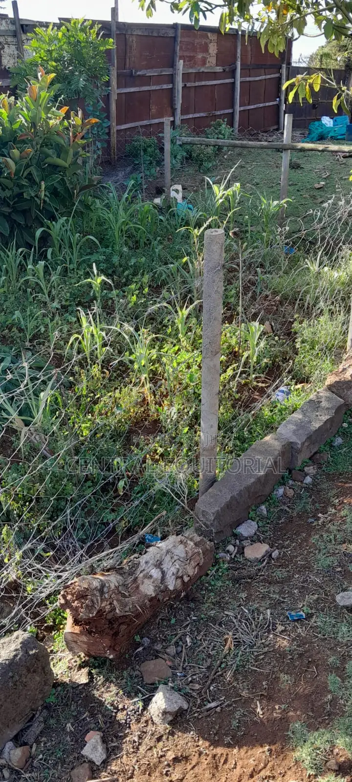 Plastic Fencing Posts for Land, Plots Gardens