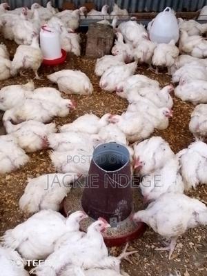 2kg Broiler Chicken Available at 550 Per Piece at Chokaa Kagundo Road - main view