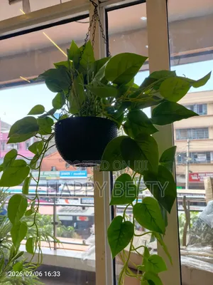 Artificial Hanging Plant