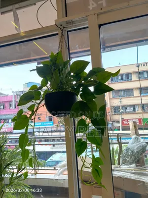 Artificial Hanging Plant