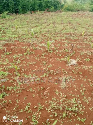 2 Acres Prime Land in Kirinyaga